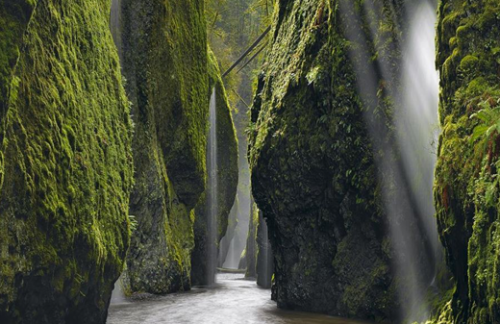 Oneonta-gorge